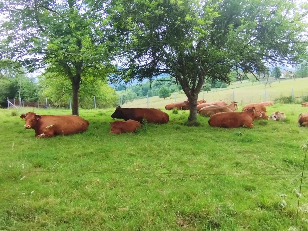 Casa Rural El Jondrigu Onís Zewnętrze zdjęcie